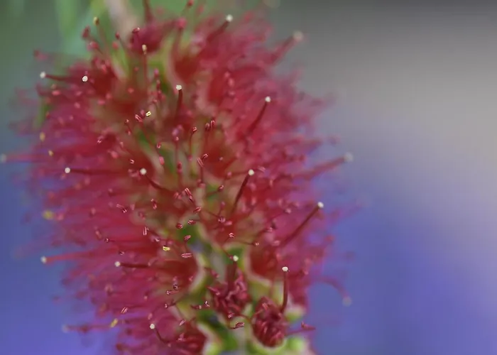 Ranieri Apartahotel Castiglione del Lago