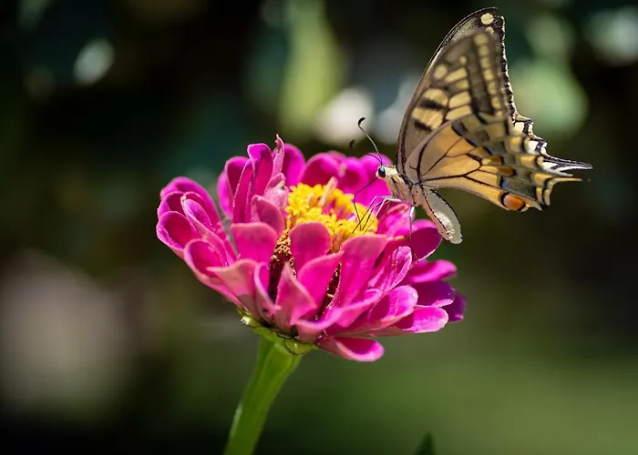 Aparthotel Ranieri Castiglione del Lago