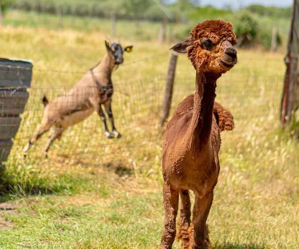 Ranieri 4* Castiglione del Lago